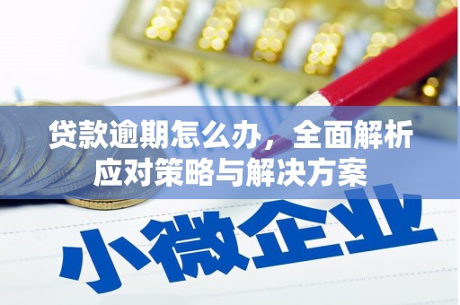 德安贷款逾期怎么办，全面解析应对策略与解决方案