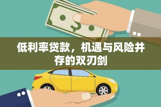 德安低利率贷款，机遇与风险并存的双刃剑