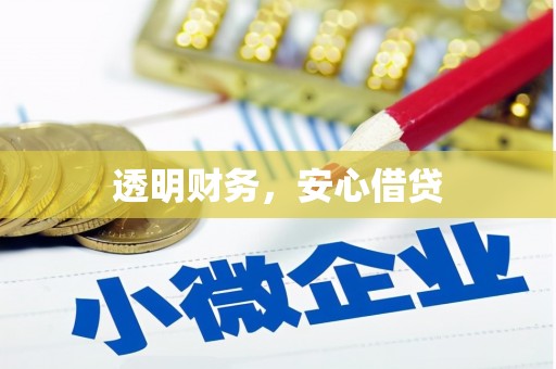 德安透明财务，安心借贷