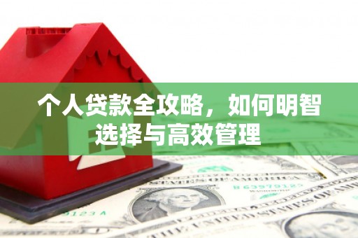 德安个人贷款全攻略，如何明智选择与高效管理