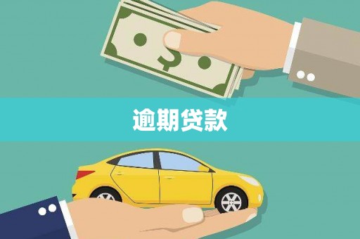 德安逾期贷款