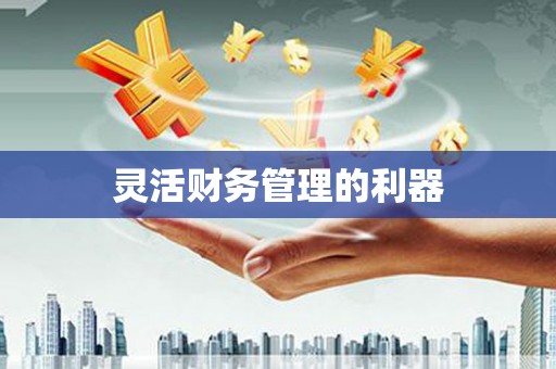 德安灵活财务管理的利器