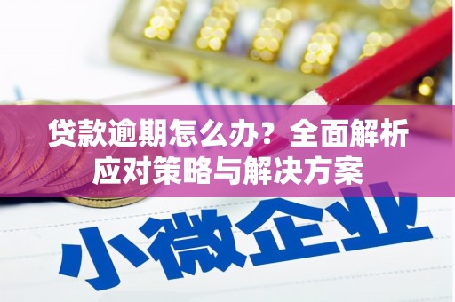 德安贷款逾期怎么办？全面解析应对策略与解决方案