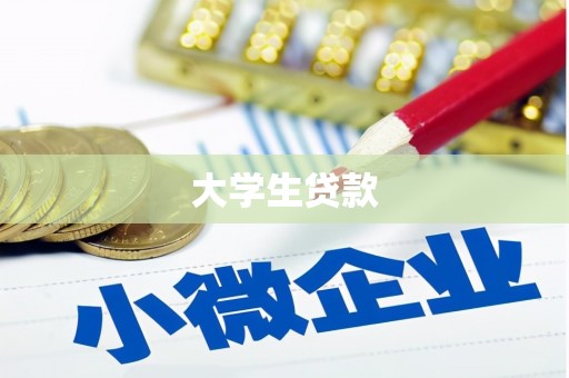 德安大学生贷款