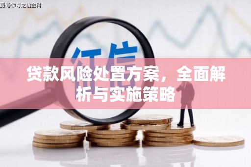 德安贷款风险处置方案，全面解析与实施策略