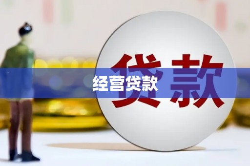 德安经营贷款