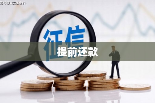 德安提前还款