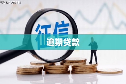 德安逾期贷款